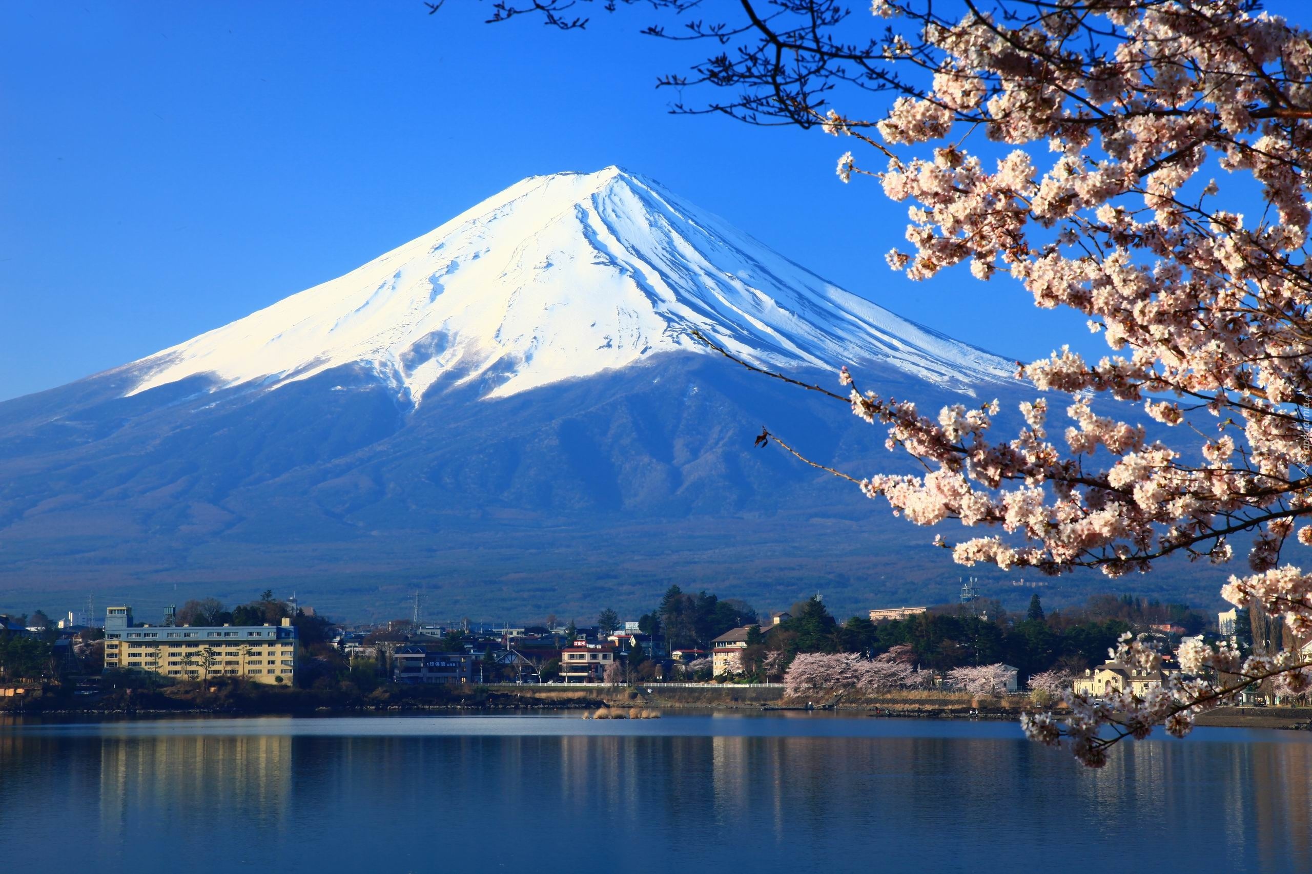 Góra Fuji